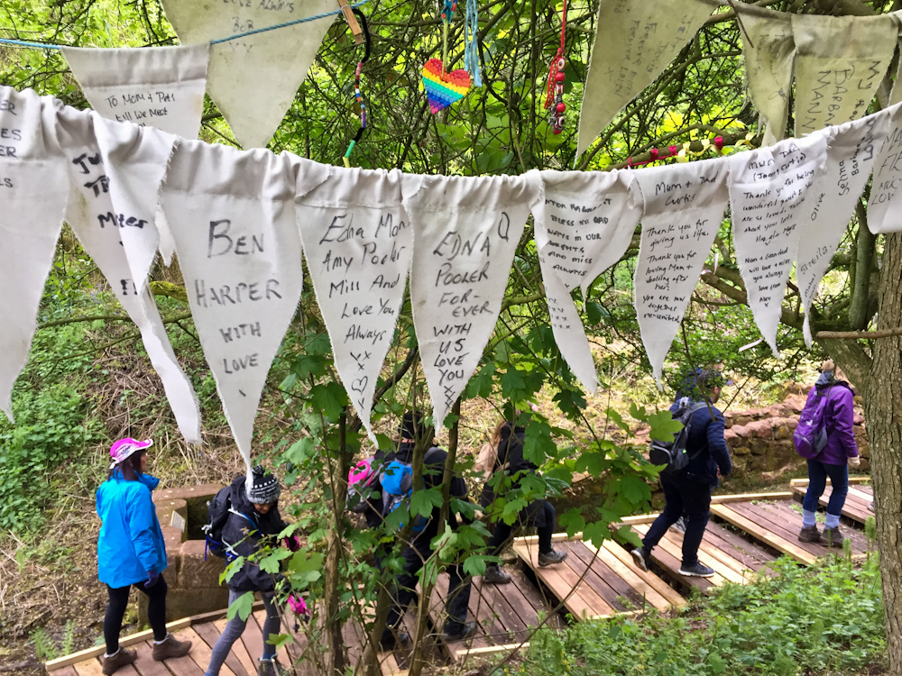 Tree near St Kenelm's Church