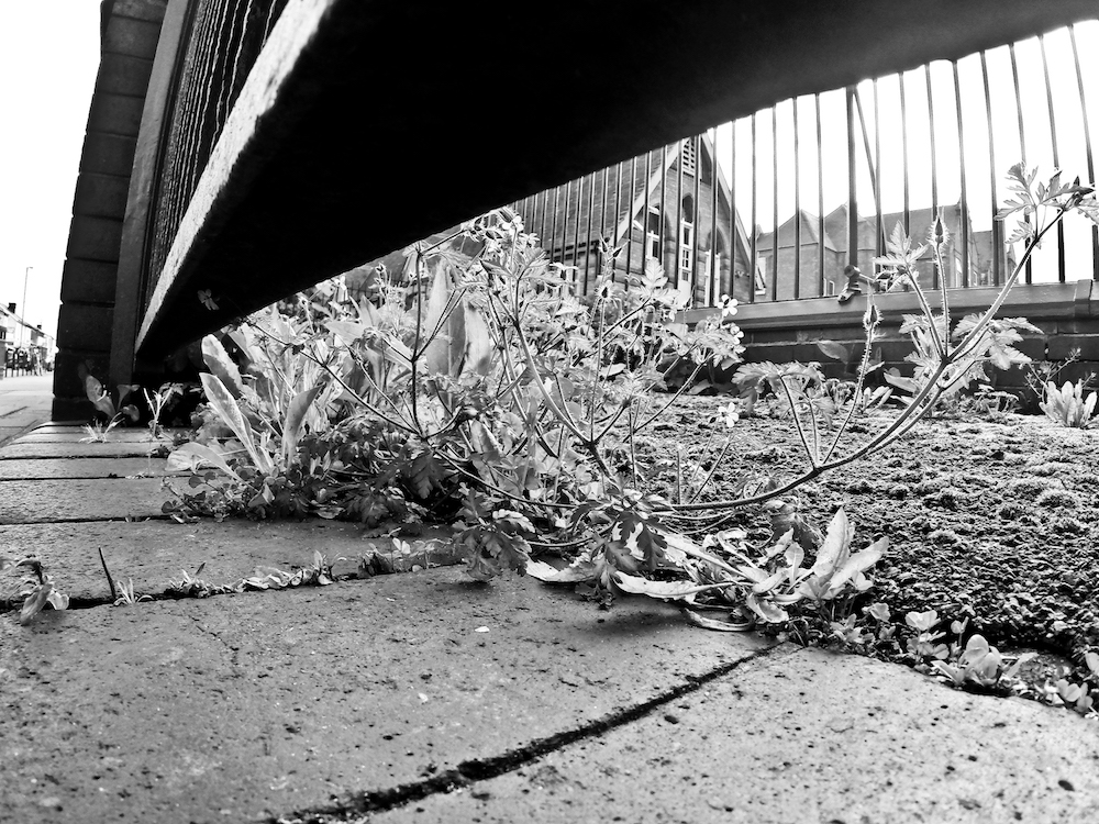 Under the bridge to Stirchley School
