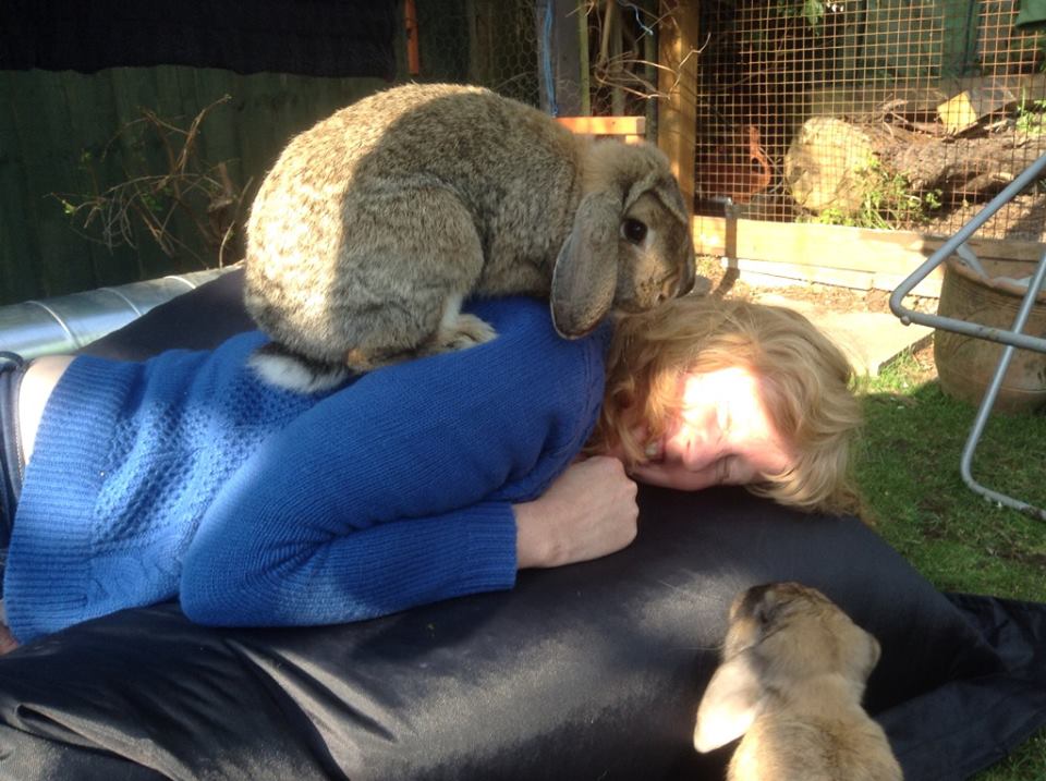 bunny attack